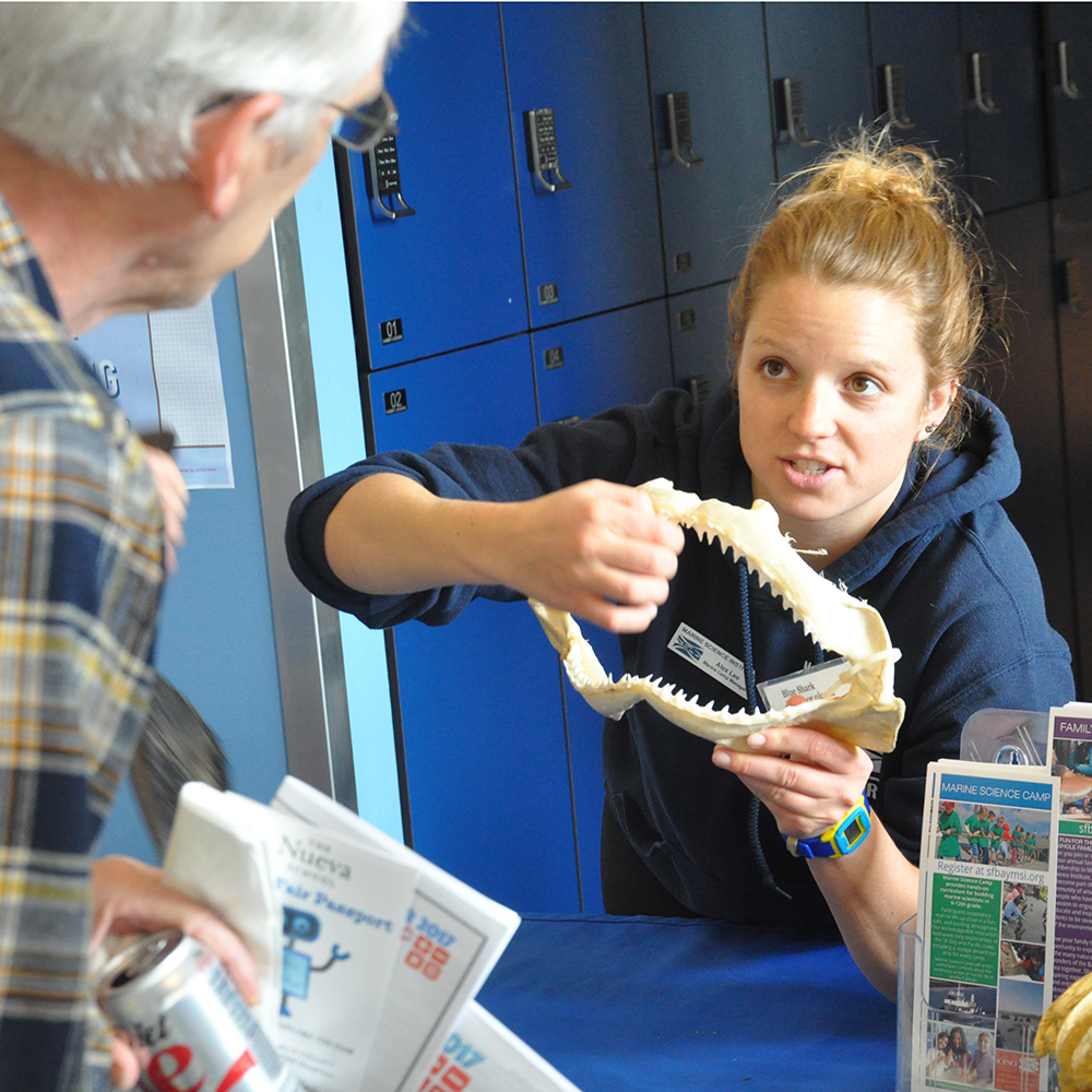 Nueva Hosts STEM Fair at Bay Meadows Campus