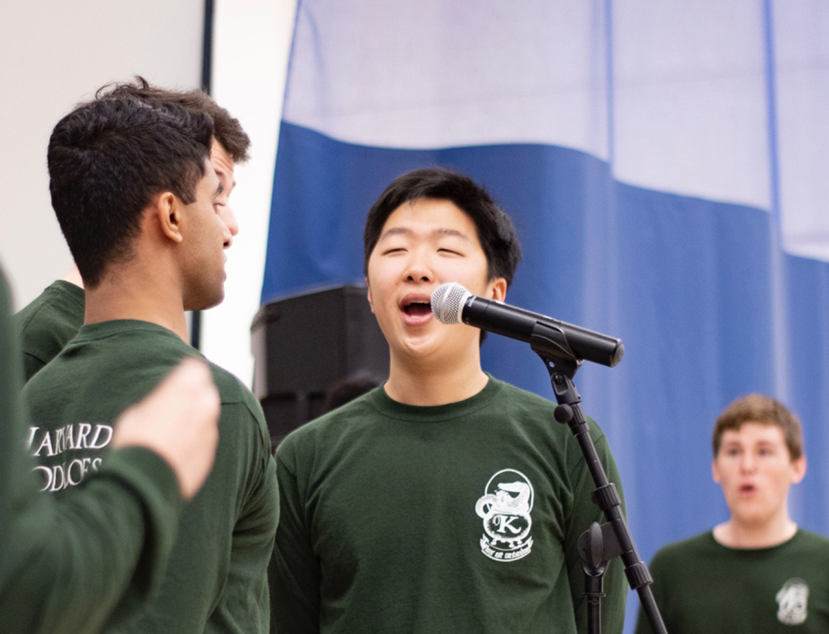 Alum returns to perform with Krokodiloes