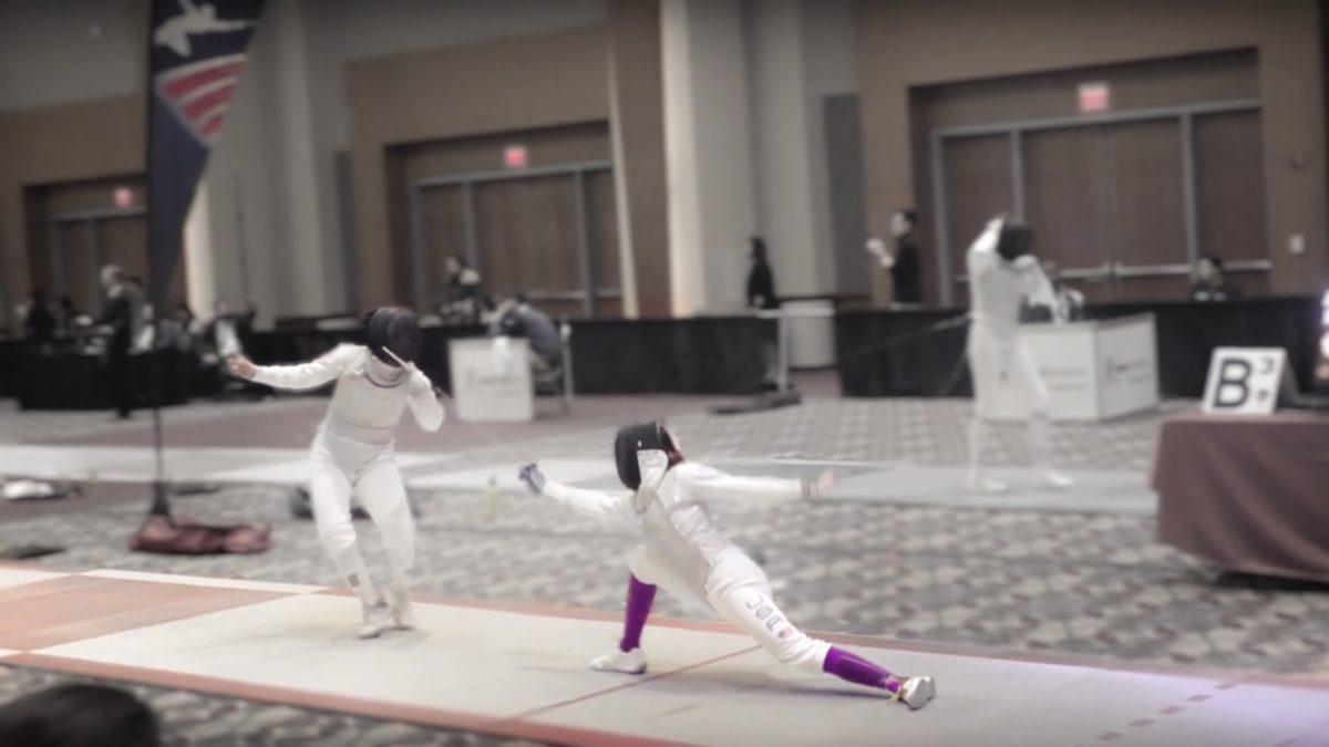 Fencing at an international level