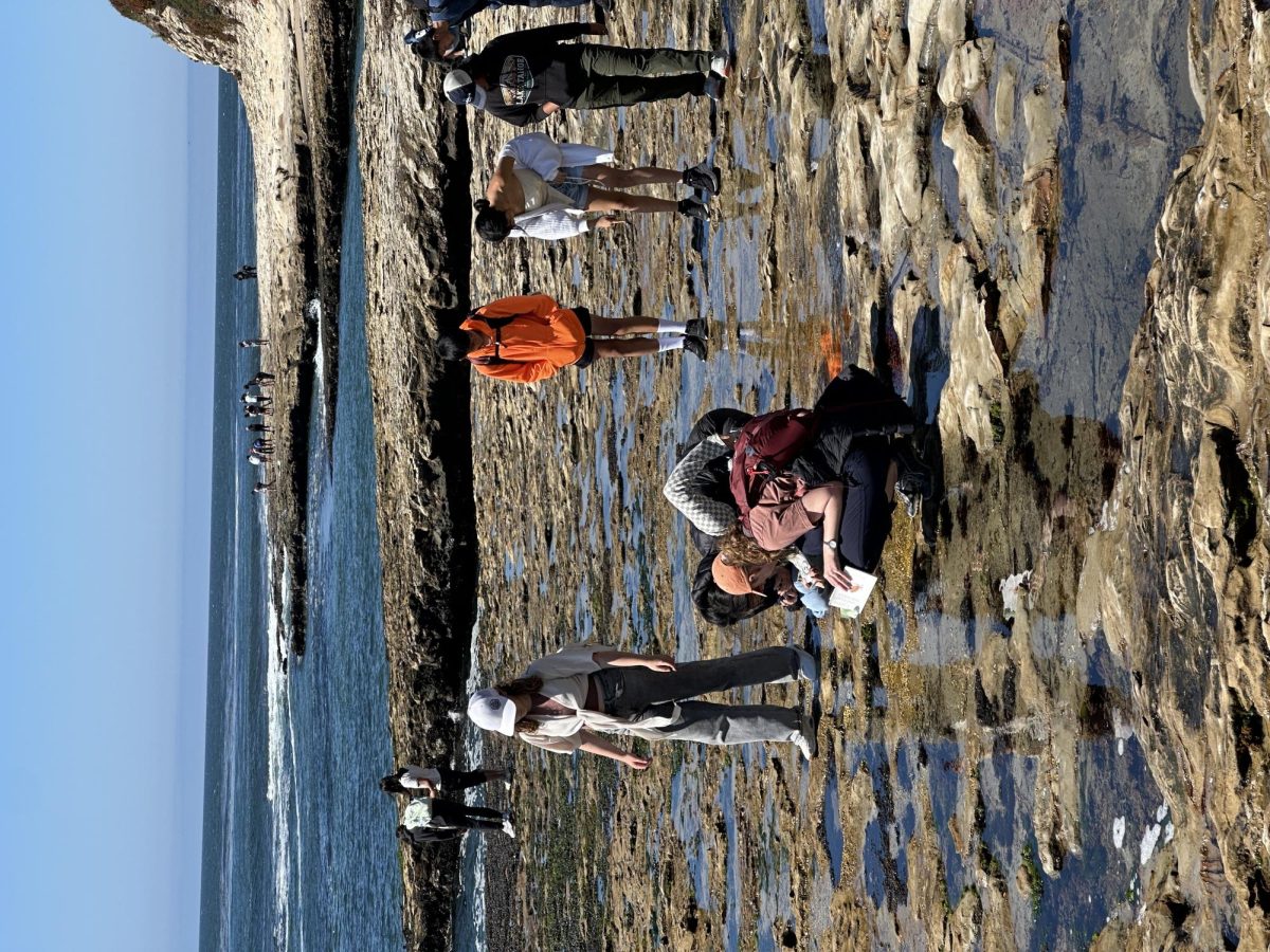 Admiring the tidepools.