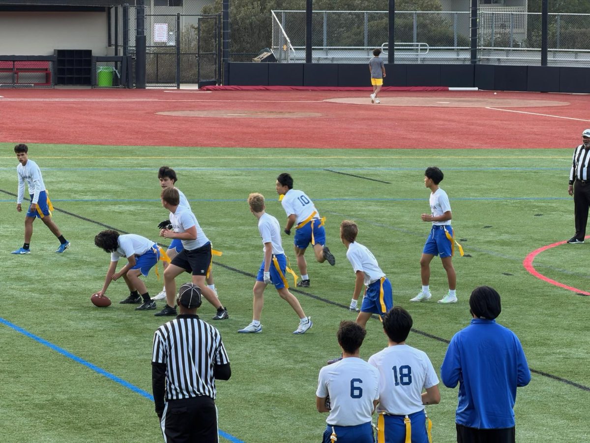 Flags on the Field The team prepares for a play. 