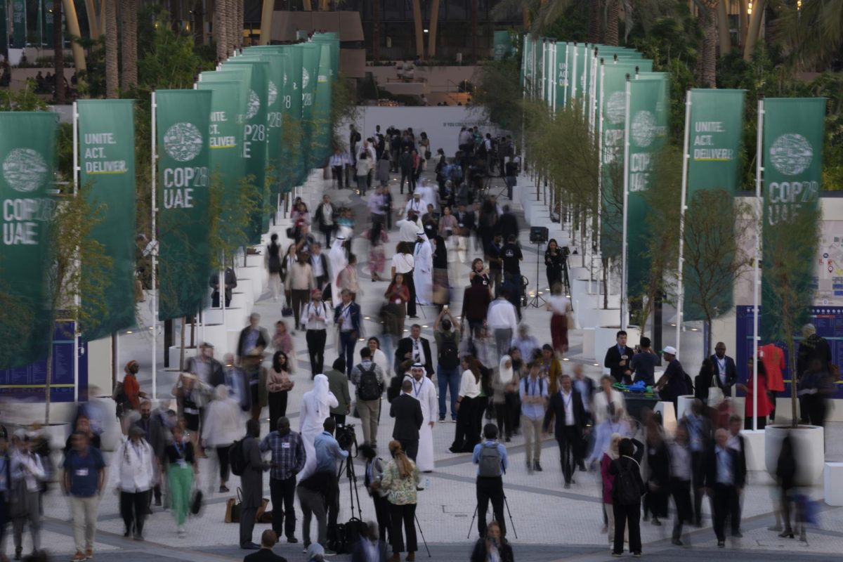 Cop Out: Attendees of the conference flocked
to Dubai, United Arab Emirates, from
Nov. 30 to Dec. 13 // Photo by Peter Dejong / AP