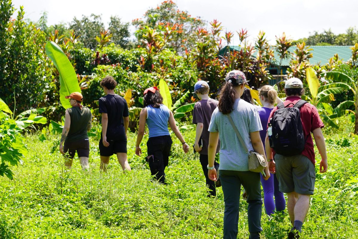 Learning on the Ground // Students volunteer on a banana farm in O'ahu, Hawaii during their April trip.
